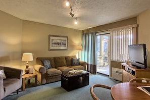 Living Room - This comfortable living room includes a sleeper sofa couch, a chair with a ottoman footrest, TV with DVD player.