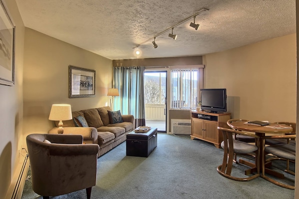 Living Room - This comfortable living room includes a sleeper sofa couch, a chair with a ottoman footrest, TV with DVD player.