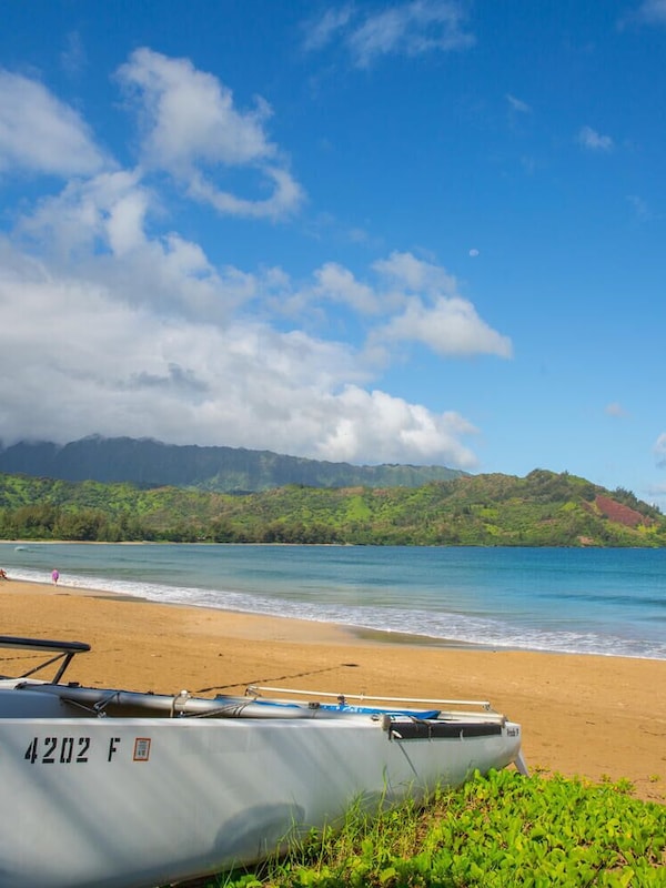 Hanalei Bay