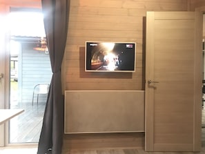 Television
