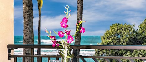 Ocean and beach view lanai! - Watch the whales breach from your lanai! There is a dining table with 4 chairs, a chaise lounge, and a side table