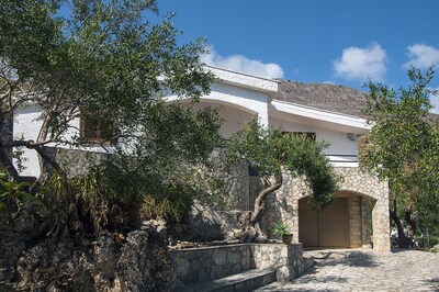 Picture of villa