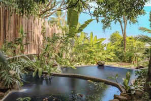 Private natural swimming pool in your villa