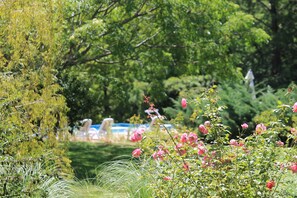 Park, flowers and the pool