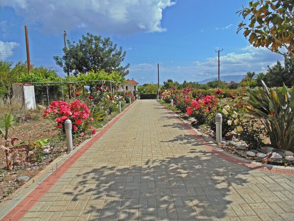 Jardines del alojamiento