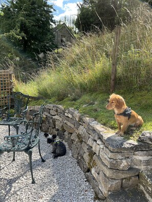 Dog friendly cottage.