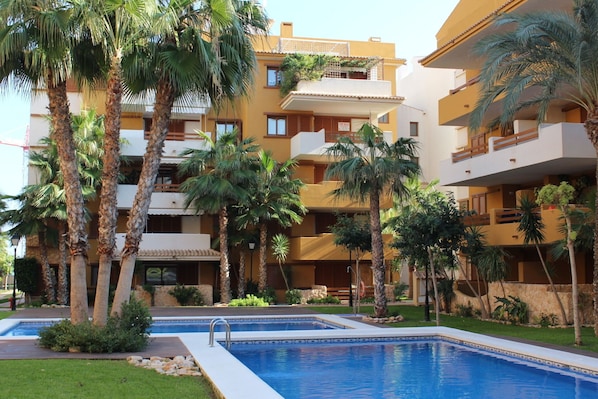Swimming pool in subtropical Gardens