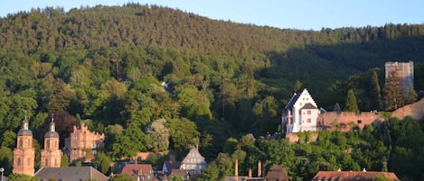 Ausblick auf die Altstadt von der FeWo aus