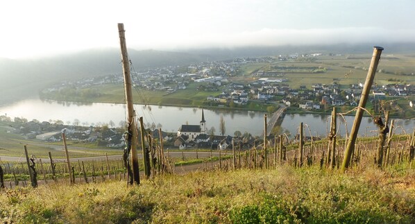 Blick auf Piesport, die Heimat des -Goldtröpfchens- 