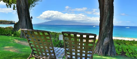 You want to relax?  Chill out here on the ocean/beach front lawn.  Ahh, heaven!