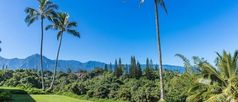 Beautiful Mountain Views from your private lanai.