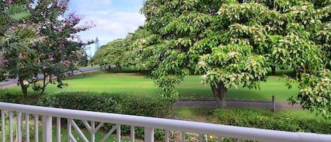 Villas of Kamalii #01 - Golf Course View Lanai - Parrish Kauai