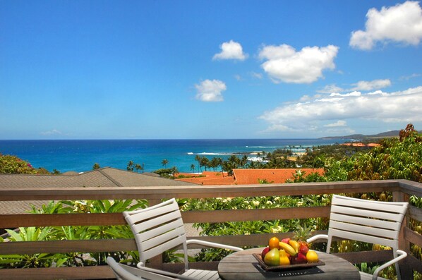 This lanai is located on the 2nd floor just off the living and dining area.