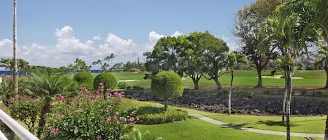 Vista da propriedade