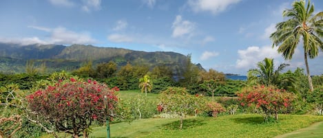 Hanalei Bay Resort #8101 - Ocean & Mountain View - Parrish Kauai