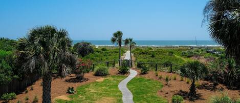 View from deck-path and boardwalk that lead to dune