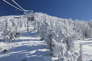 Wintersport/Ski