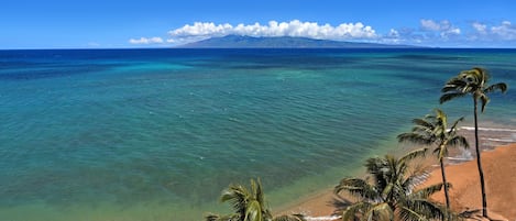 Vue sur la plage/l’océan