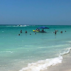 Anna Maria Island Beach Palms 7A