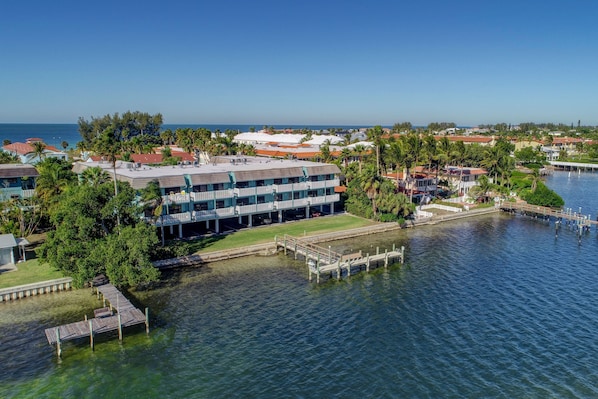 Anna Maria Island Beach Palms 7A