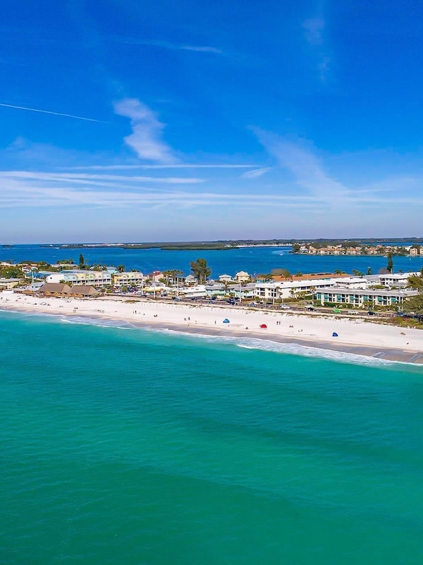 Anna Maria Island Beach Palms 7A