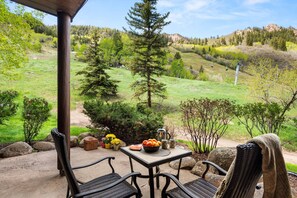 Start your day with coffee on this back patio, overlooking Aspen Mountain
