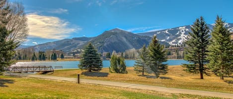 Terrain de l’hébergement 