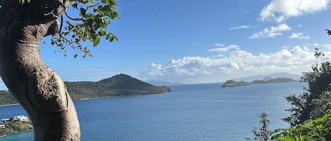 Patio view