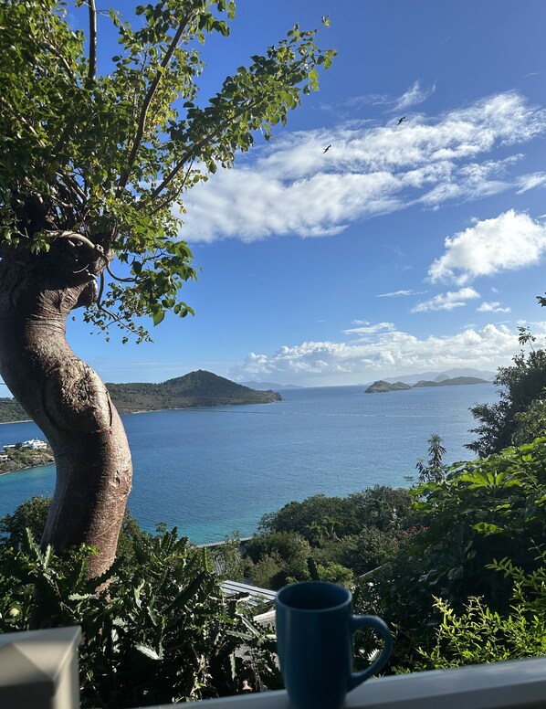 Patio view