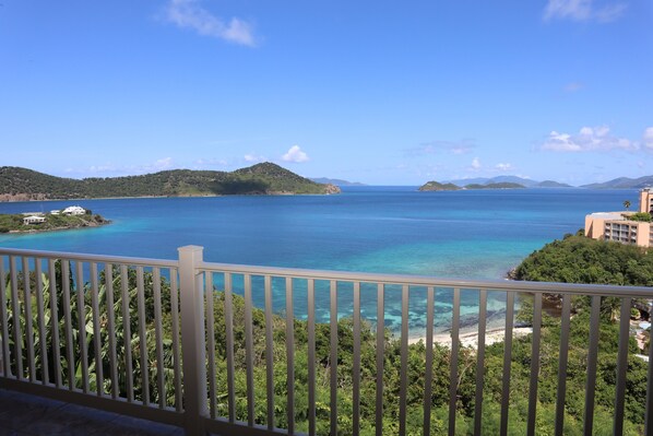 Patio View