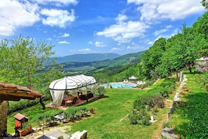 Garden, Outdoor, Scenic View, Summer