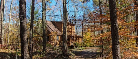 Timber Ridge Road View