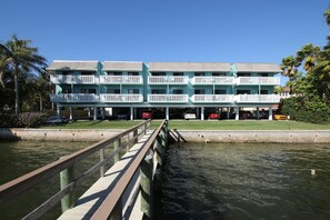 Anna Maria Island Beach Palms 2A