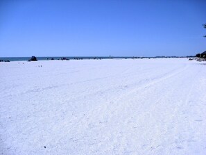 Anna Maria Island Beach Palms 2A