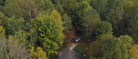 Dogwood Aerial View