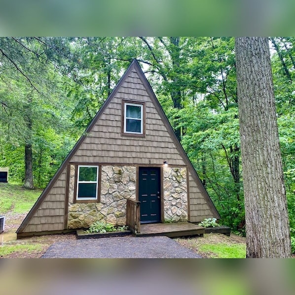 A-Frame #05 Exterior