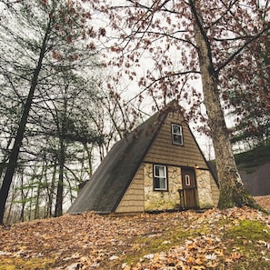 A-Frame #01 Exterior
