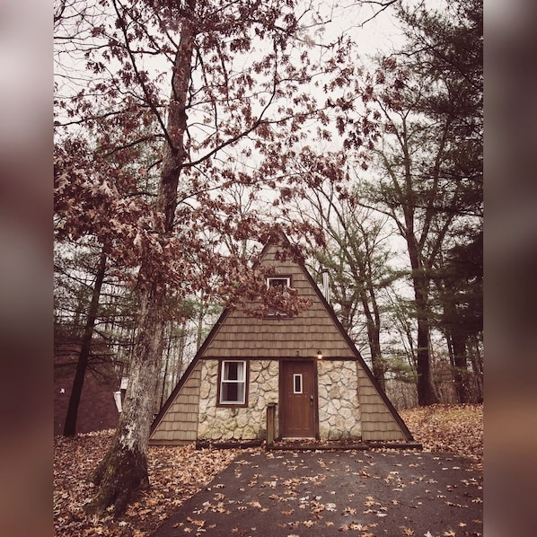 A-Frame #15 Exterior