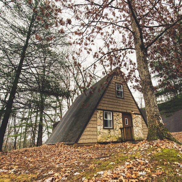 A-Frame #06 Exterior