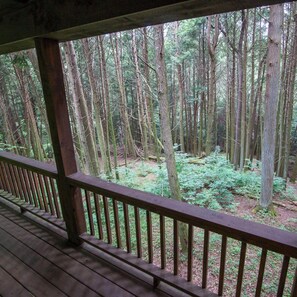 ravine-2025-5