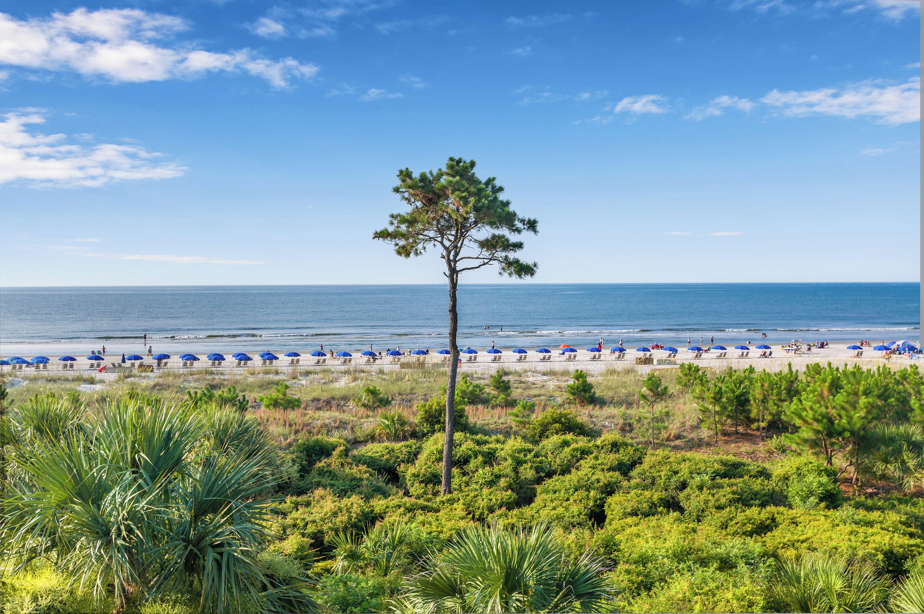 312 Breakers: Sleeps 4, Free Bikes, Pool, Oceanfront