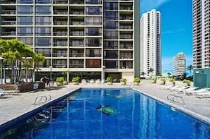 Waikiki Sunset Sapphire Honu Pool