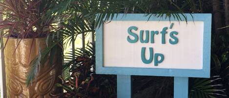 Welcome to Surf's Up!