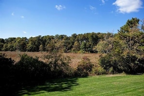 Looking out to conservation land. - 109 Misty Meadow Lane #1 Chatham Cape Cod New England Vacation Rentals