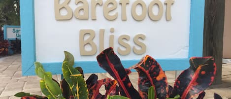 Welcome to Barefoot Bliss!