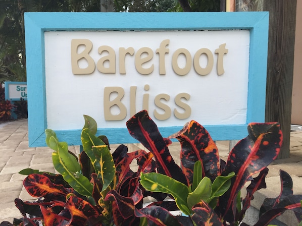 Welcome to Barefoot Bliss!