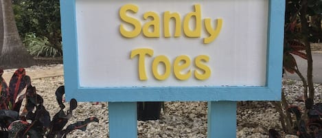 Welcome to Sandy Toes!
