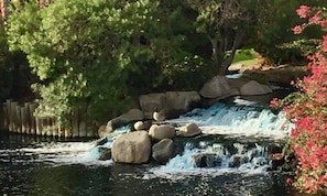 Listen to the cascading waterfalls as your mind calms - only 50 ft from you