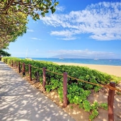 Whaler Beach Walk