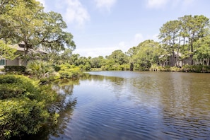 Lagoon views